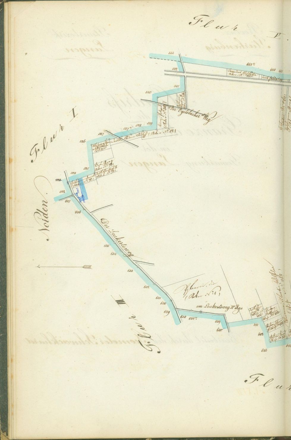 flurg1852_0040.jpg