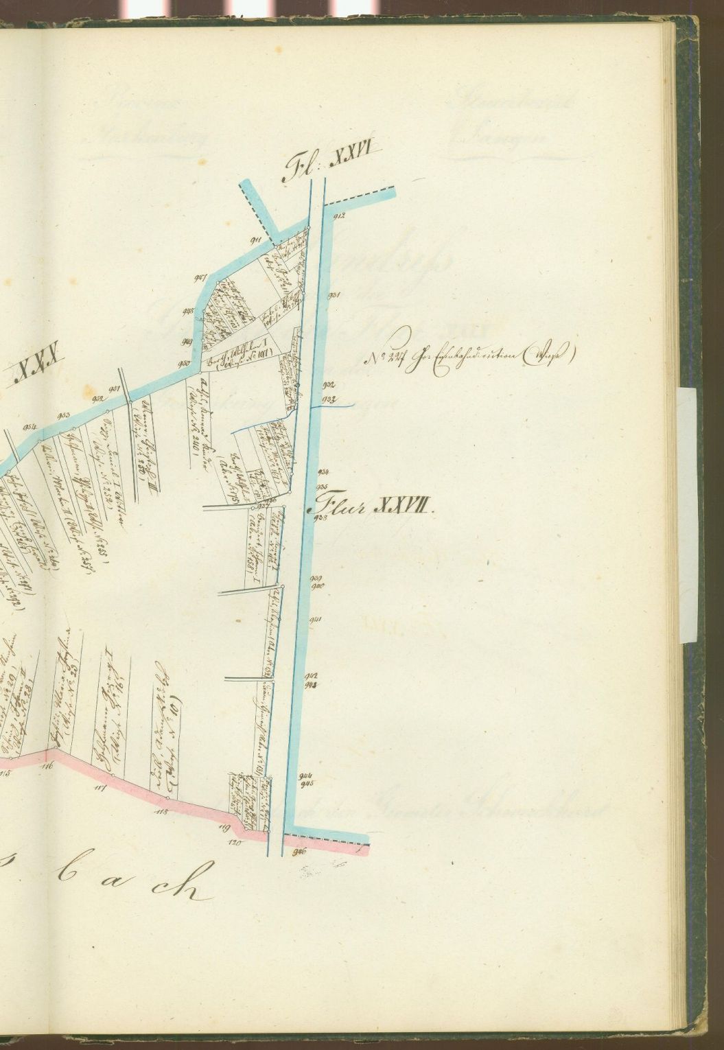 flurg1852_0141.jpg